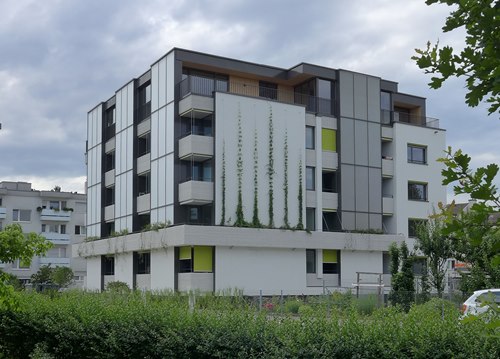 Foto Südost 500.jpg